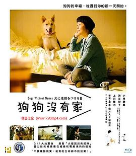为你取名的那一天